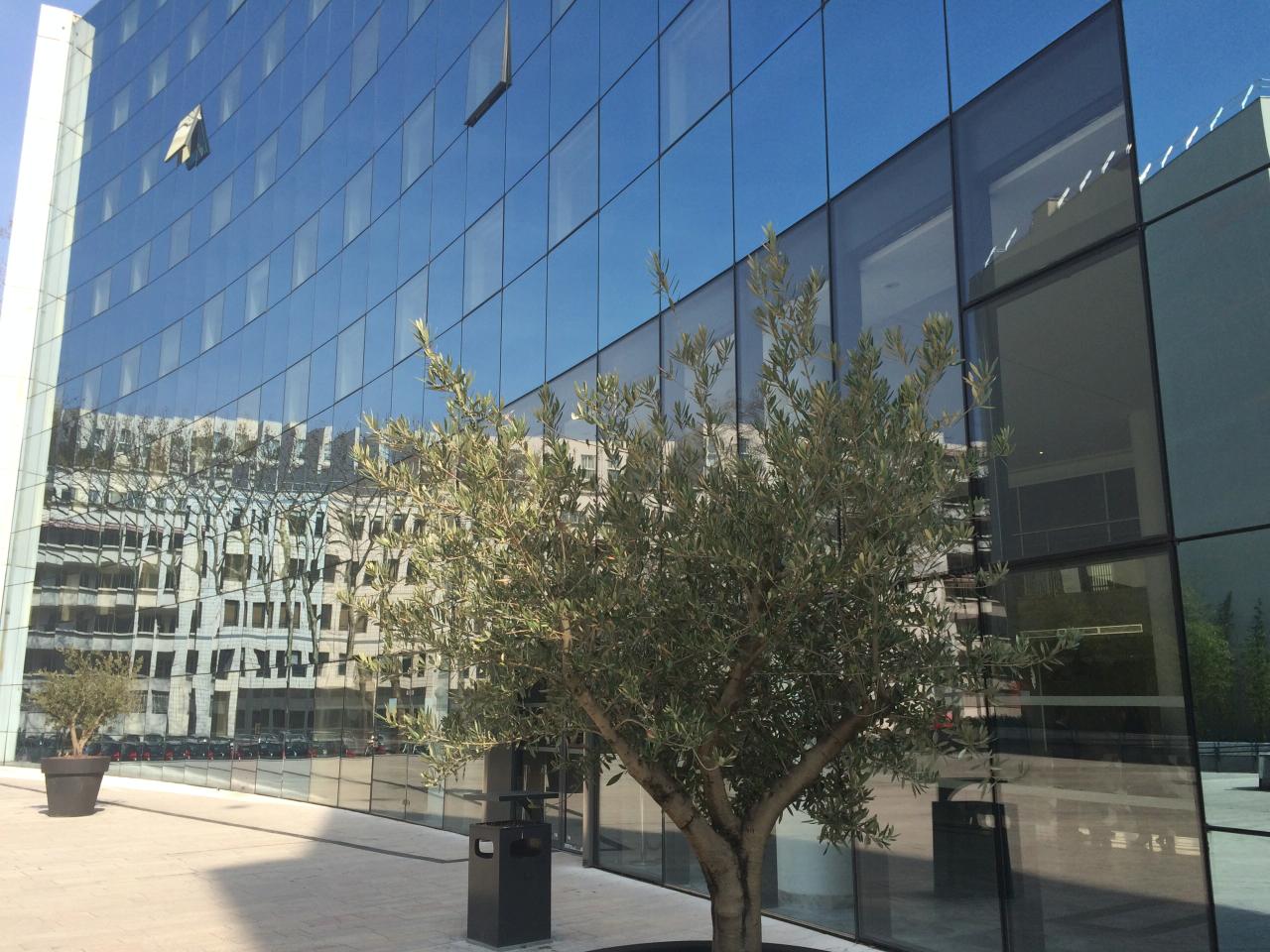 Bureau Villeurbanne 2543m² Location bureau Villeurbanne Rhône OLBUR2318681 3